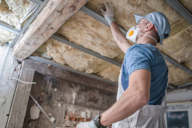 Best Specialized Insulation Services in Andusia, AL