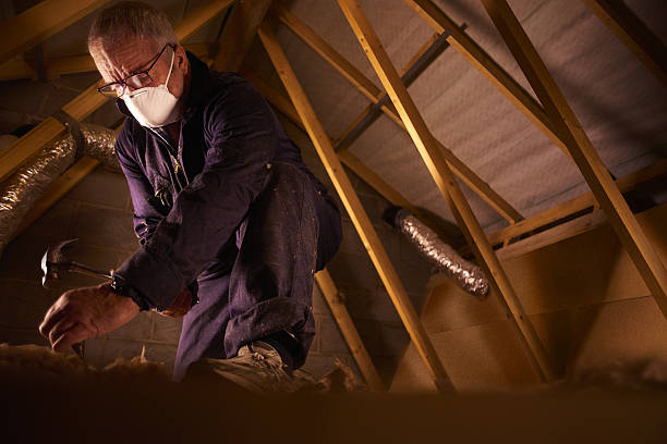 Best Residential Insulation in Andusia, AL